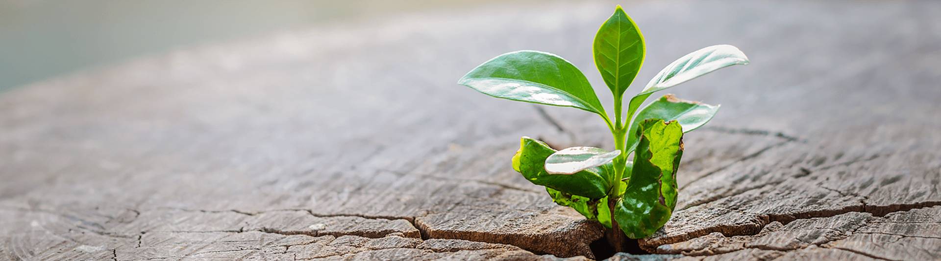 304am永利集团环保塑料再生事业